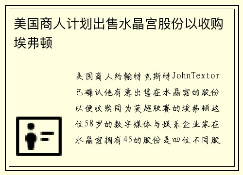 美国商人计划出售水晶宫股份以收购埃弗顿
